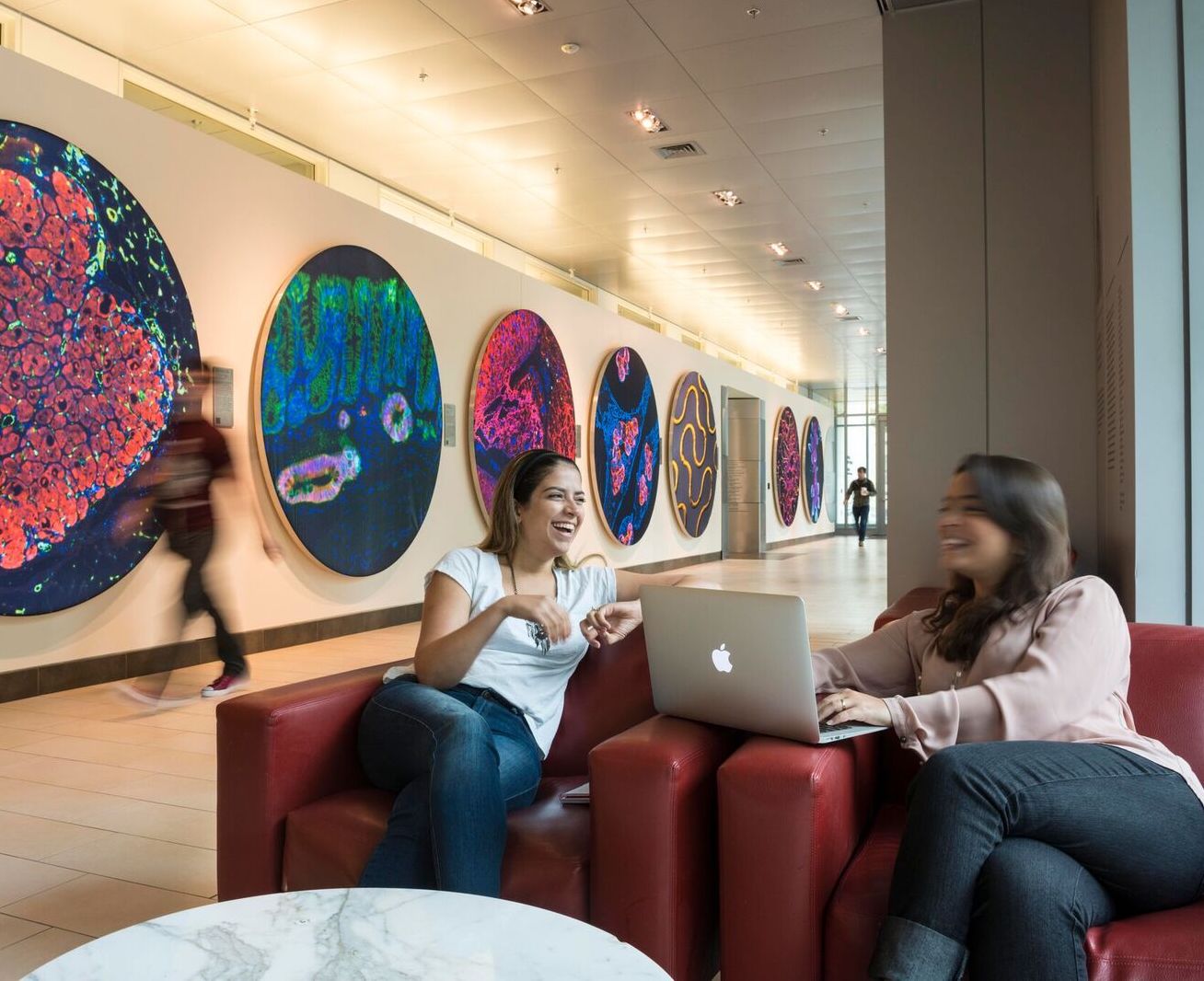 Two people sit in arm chairs with an open laptop between them. The wall in the background has large, round, colorful images.