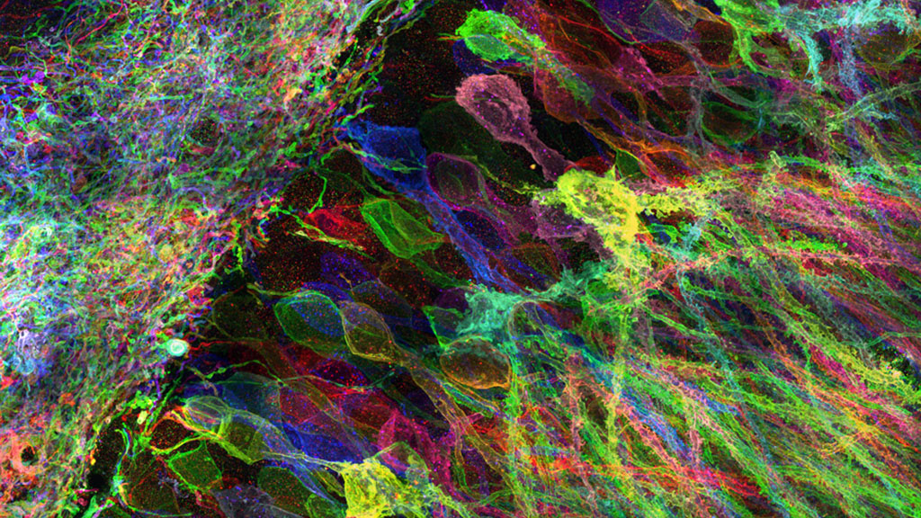 A colorful MIT research image.